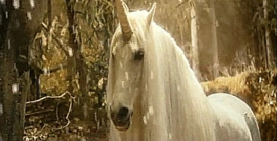 Белый конь   Юлия Валеева 