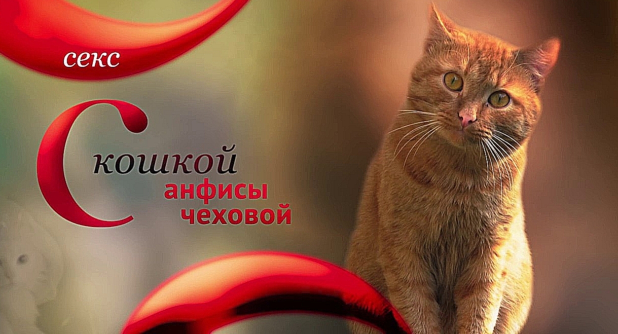 Видеоклип Любимцы: Секс с кошкой Анфисы Чеховой 