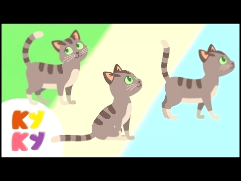 КУКУТИКИ - Киса Кошка - Музыкальный Мультик Песенка для детей про кошечку Funny Kids Song about Cat 