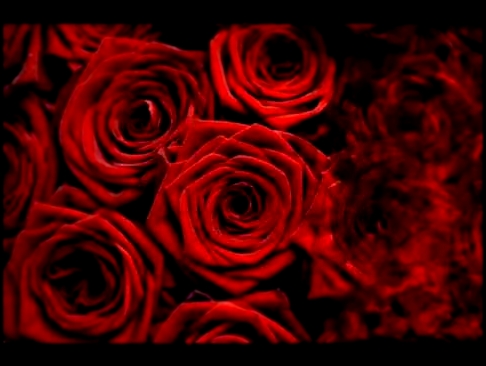 Видеоклип Алла Пугачева - Миллион Алых Роз_ Million of Scarlet Roses 