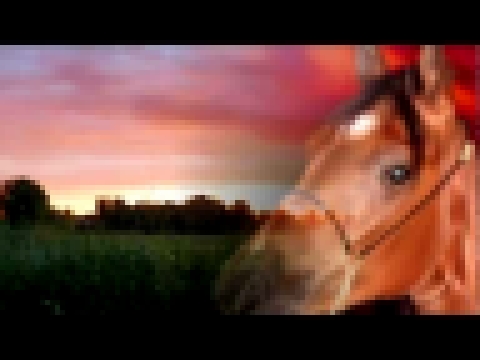 Видеоклип Мое  детство - красный конь... 