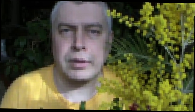 Видеоклип Цветы мимоза, гиацинт к восьмому марту — Геннадий Горин 