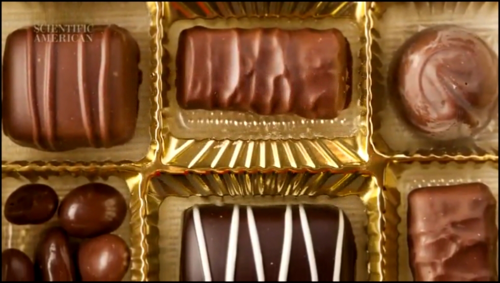Видеоклип Почему мы любим шоколад? 