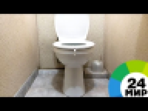 Золотой туалет в уральском университете «взорвал» интернет - МИР 24 