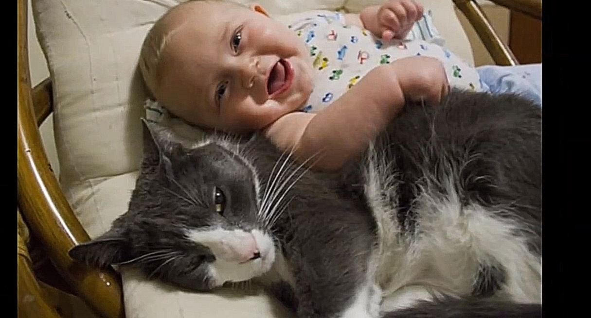 Умилительных фото котов с детьми, которым те заменили няню 