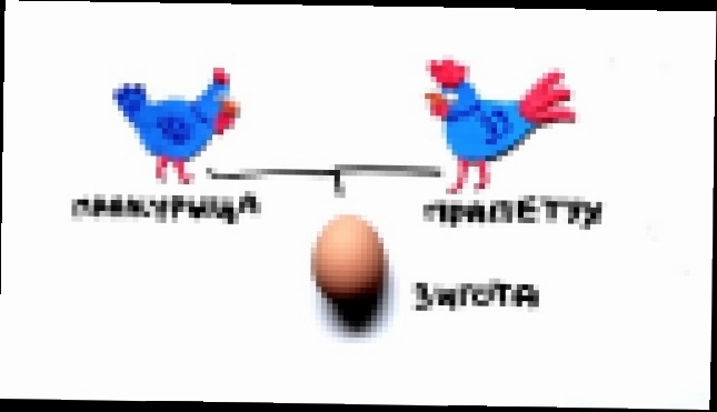Научпок - Курица или яйцо 