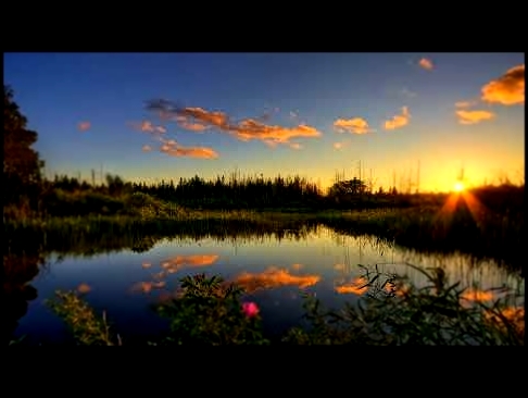 Видеоклип Упоительное пение соловья летним вечером Звуки природы Nature Sounds 