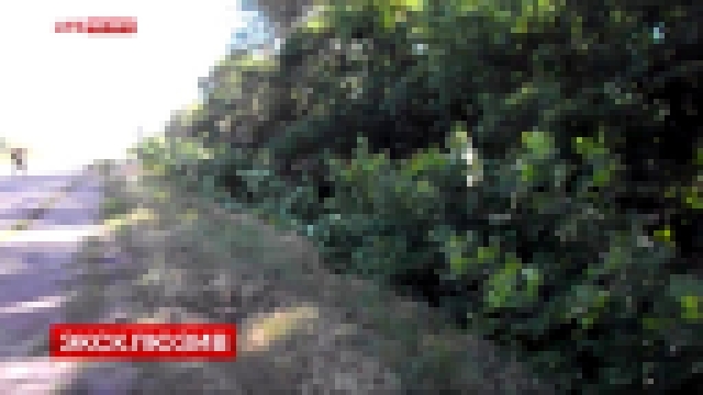 Видеоклип 18 июня 2014.  LifeNews публикует видео разгрома карательного батальона "Айдар"  