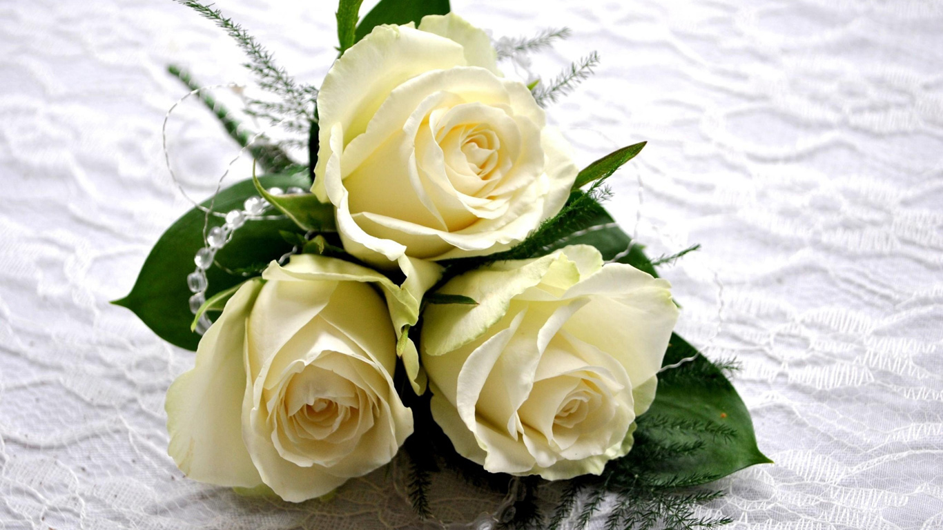 Белые розы (Голос-6 - СП) Дмитрий Янковский