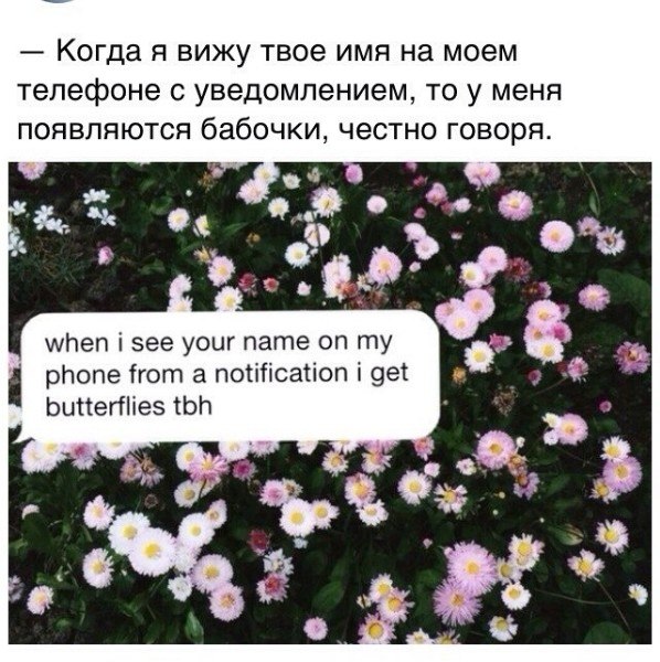 Сдохли бабочки KA4KA.RU