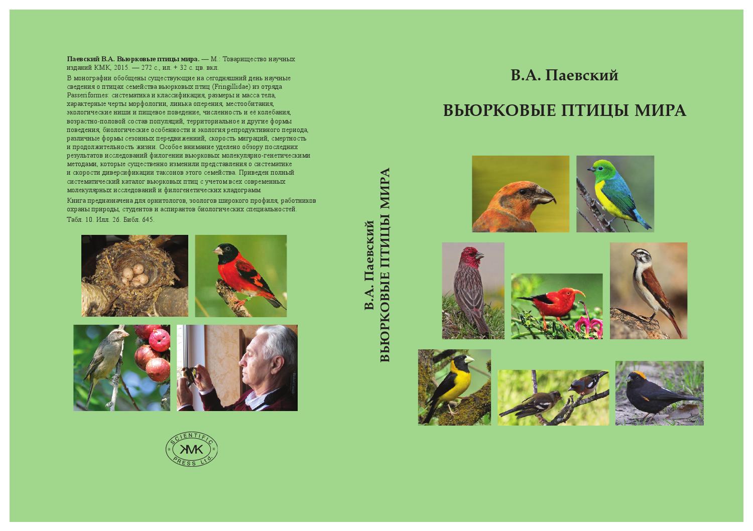 Голоса птиц России Зяблик, кавказский подвид